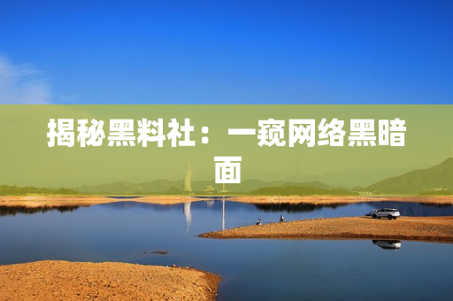 揭秘黑料社：一窥网络黑暗面