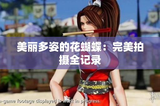 美丽多姿的花蝴蝶：完美拍摄全记录