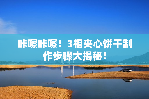 咔嚓咔嚓！3相夹心饼干制作步骤大揭秘！