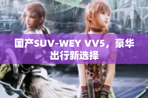 国产SUV-WEY VV5，豪华出行新选择
