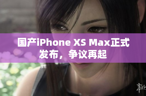 国产iPhone XS Max正式发布，争议再起