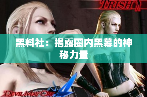 黑料社：揭露圈内黑幕的神秘力量