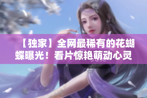 【独家】全网最稀有的花蝴蝶曝光！看片惊艳萌动心灵！