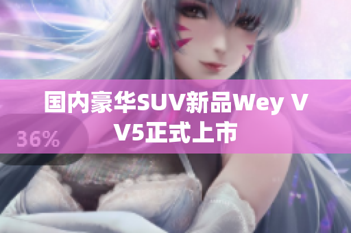 国内豪华SUV新品Wey VV5正式上市