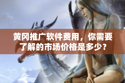 黄冈推广软件费用，你需要了解的市场价格是多少？