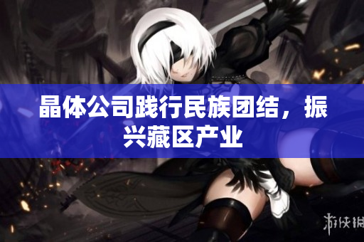 晶体公司践行民族团结，振兴藏区产业