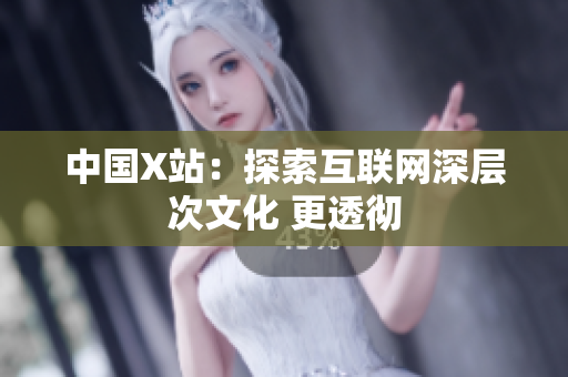 中国X站：探索互联网深层次文化 更透彻