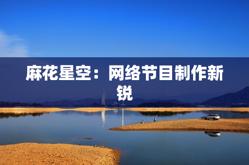 麻花星空：网络节目制作新锐