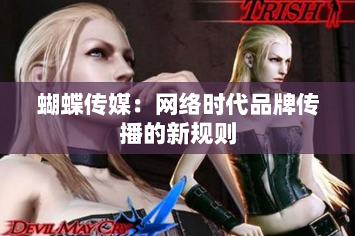 蝴蝶传媒：网络时代品牌传播的新规则