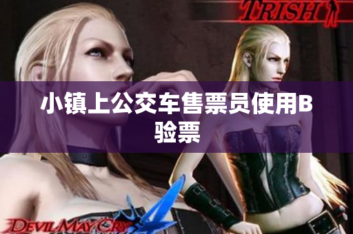 小镇上公交车售票员使用B验票