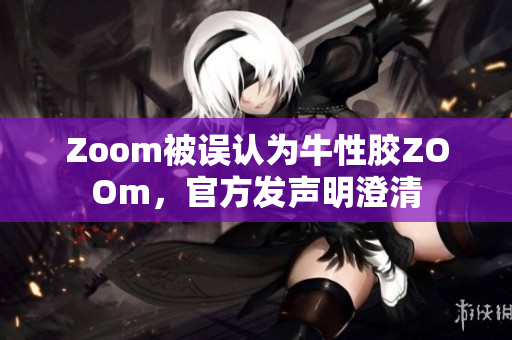 Zoom被误认为牛性胶ZOOm，官方发声明澄清