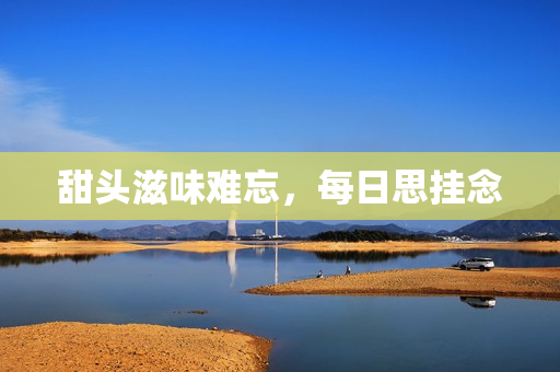 甜头滋味难忘，每日思挂念