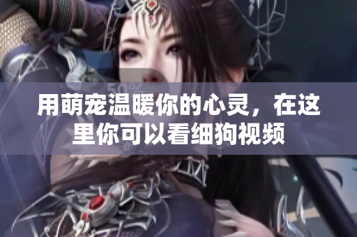 用萌宠温暖你的心灵，在这里你可以看细狗视频