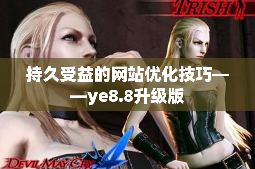 持久受益的网站优化技巧——ye8.8升级版