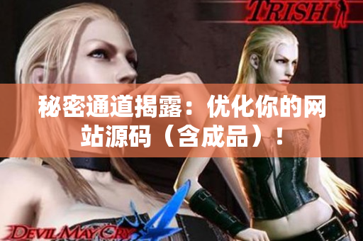 秘密通道揭露：优化你的网站源码（含成品）！