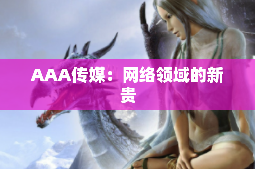 AAA传媒：网络领域的新贵
