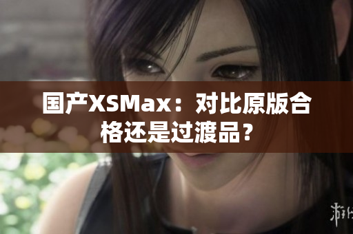国产XSMax：对比原版合格还是过渡品？