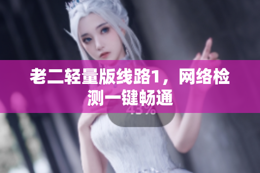 老二轻量版线路1，网络检测一键畅通