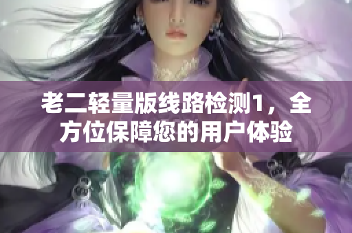 老二轻量版线路检测1，全方位保障您的用户体验