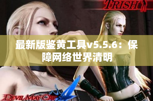 最新版鉴黄工具v5.5.6：保障网络世界清明