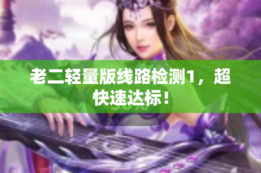 老二轻量版线路检测1，超快速达标！