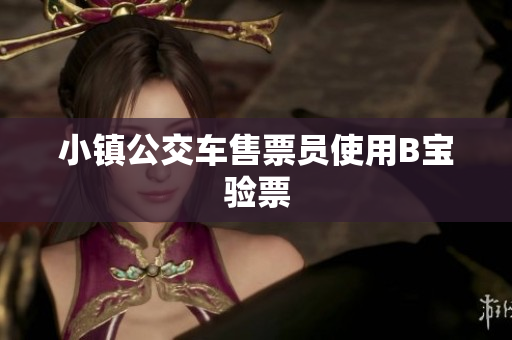 小镇公交车售票员使用B宝验票