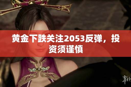 黄金下跌关注2053反弹，投资须谨慎