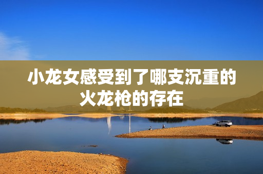 小龙女感受到了哪支沉重的火龙枪的存在
