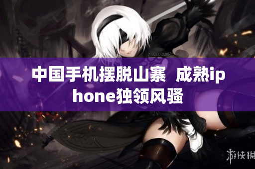 中国手机摆脱山寨  成熟iphone独领风骚