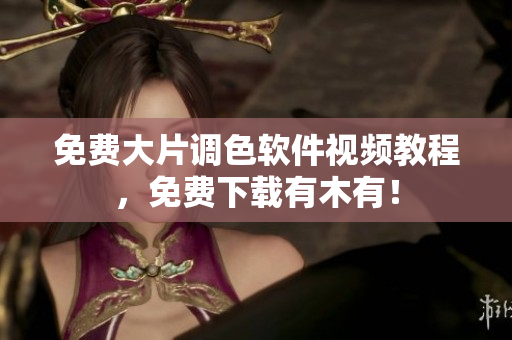 免费大片调色软件视频教程，免费下载有木有！