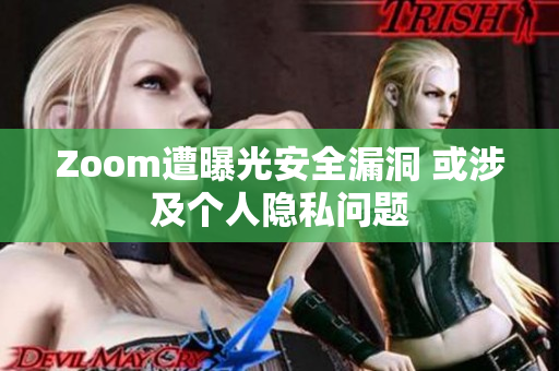 Zoom遭曝光安全漏洞 或涉及个人隐私问题