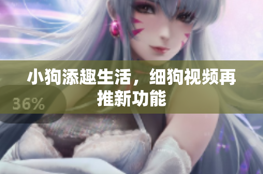 小狗添趣生活，细狗视频再推新功能
