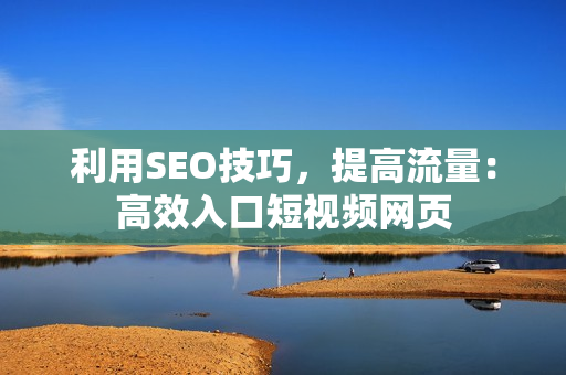 利用SEO技巧，提高流量：高效入口短视频网页