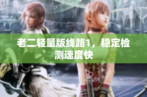 老二轻量版线路1，稳定检测速度快