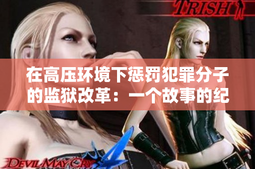 在高压环境下惩罚犯罪分子的监狱改革：一个故事的纪实