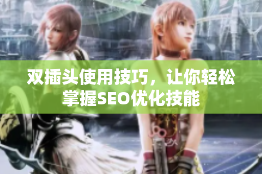 双插头使用技巧，让你轻松掌握SEO优化技能