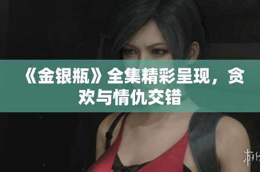《金银瓶》全集精彩呈现，贪欢与情仇交错