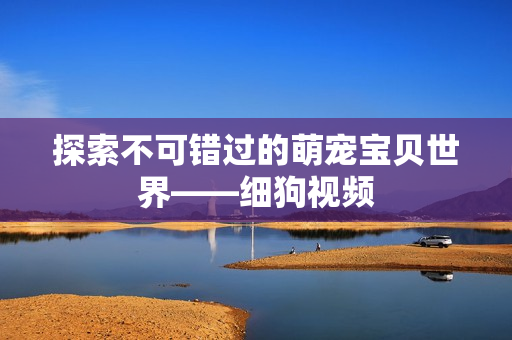 探索不可错过的萌宠宝贝世界——细狗视频