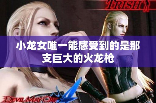 小龙女唯一能感受到的是那支巨大的火龙枪