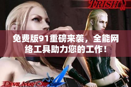 免费版91重磅来袭，全能网络工具助力您的工作！