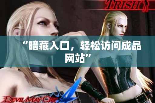 “暗藏入口，轻松访问成品网站”
