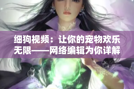 细狗视频：让你的宠物欢乐无限——网络编辑为你详解