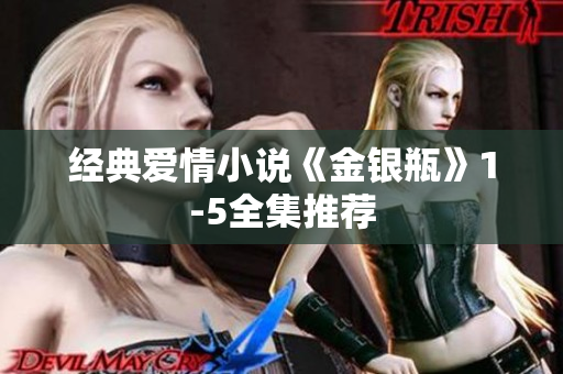 经典爱情小说《金银瓶》1-5全集推荐