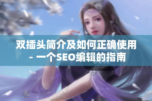 双插头简介及如何正确使用 - 一个SEO编辑的指南