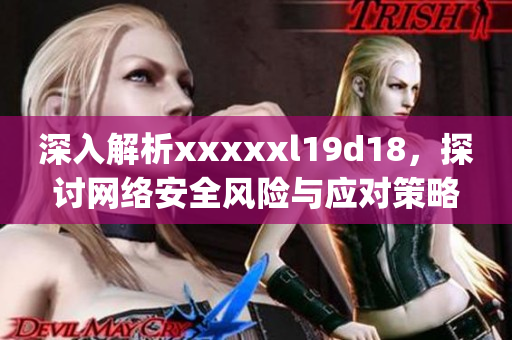 深入解析xxxxxl19d18，探讨网络安全风险与应对策略)