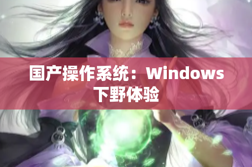 国产操作系统：Windows下野体验