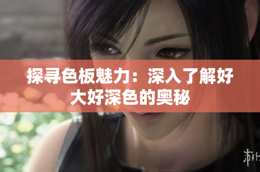 探寻色板魅力：深入了解好大好深色的奥秘