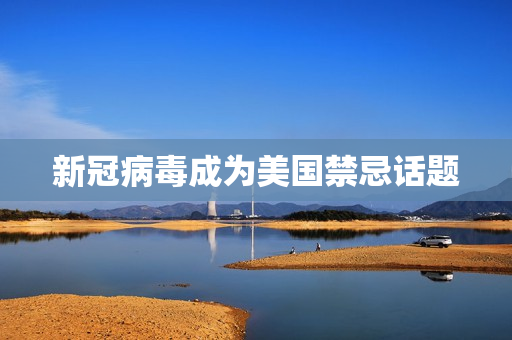 新冠病毒成为美国禁忌话题