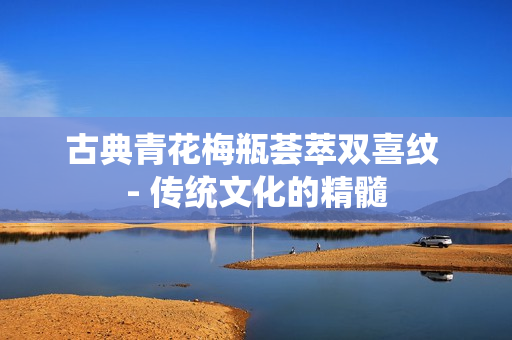 古典青花梅瓶荟萃双喜纹 - 传统文化的精髓