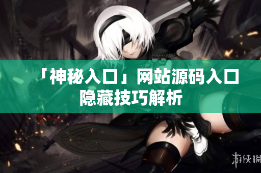 「神秘入口」网站源码入口隐藏技巧解析